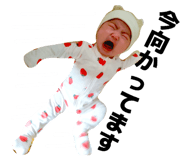 863340531