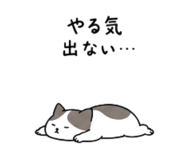 863343677