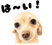 863363379