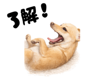 863363384