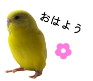 863364134