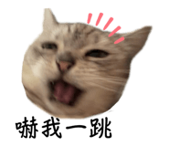 863364322