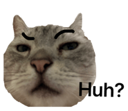 863364329