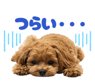 863364346