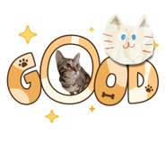 863366660
