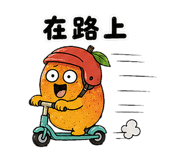 863369243