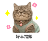 863392137