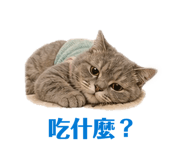 863392145