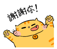 863392554