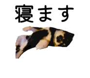 863397121