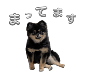 863397122