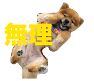 863397125