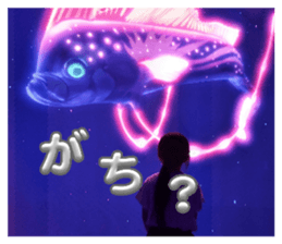 863457067