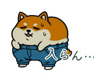 863463834