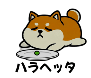 863463841