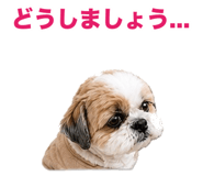 863470345