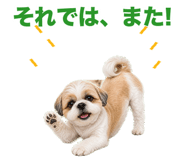 863470376