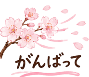 863472809