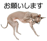 863479078