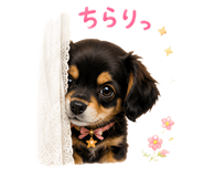 863482125