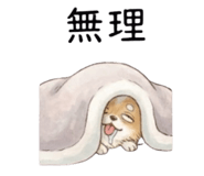 863483835