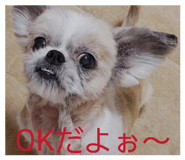 863485366