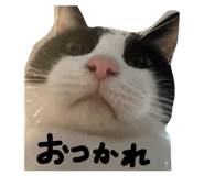 863492208