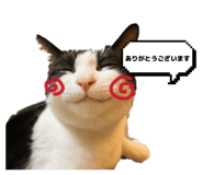 863492924