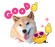 863493850