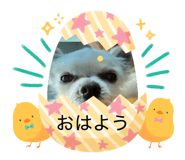 863493968