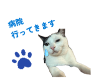 863494253