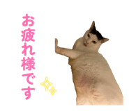 863494255