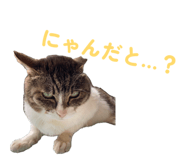863494258