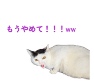 863494262