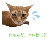 863494263