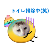 863494266