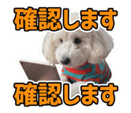 863494623