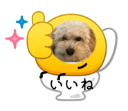863497988