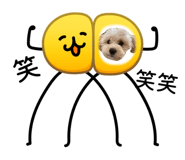 863497991