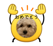 863497996