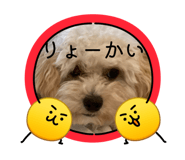 863497998