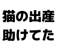 863500587