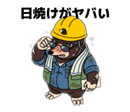 863501234