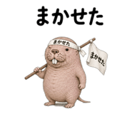 863502372