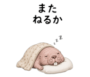 863502374