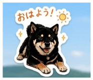 863503097