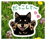 863503116