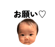 863503481