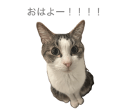 863503537