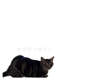 863503539